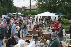 La grande fouille 2007 (38)